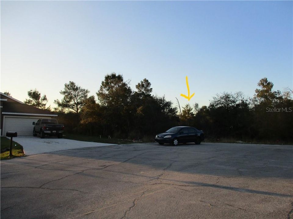Front view of land