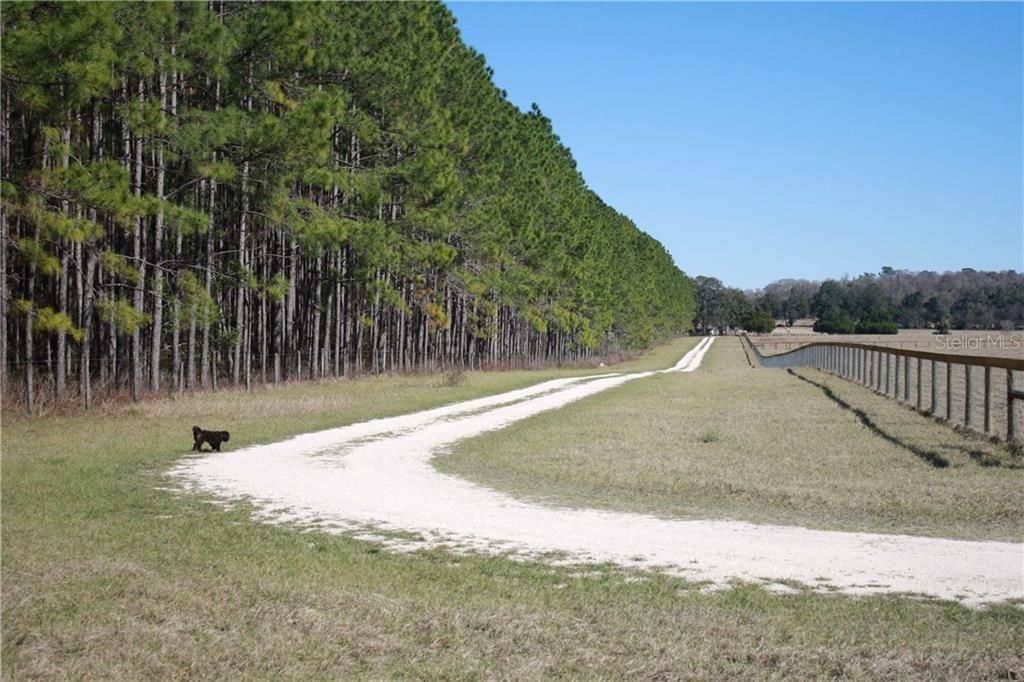 Recently Sold: $199,900 (10.07 acres)