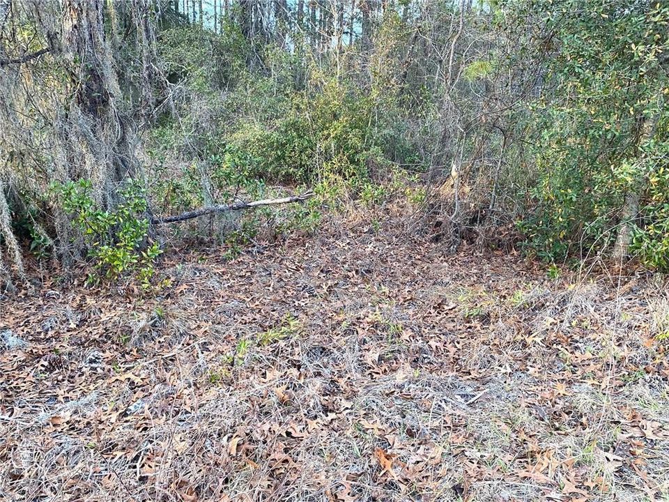 Recently Sold: $12,500 (0.26 acres)