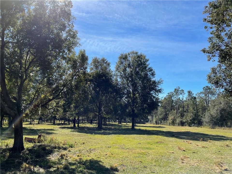 Recently Sold: $2,140,000 (107.00 acres)