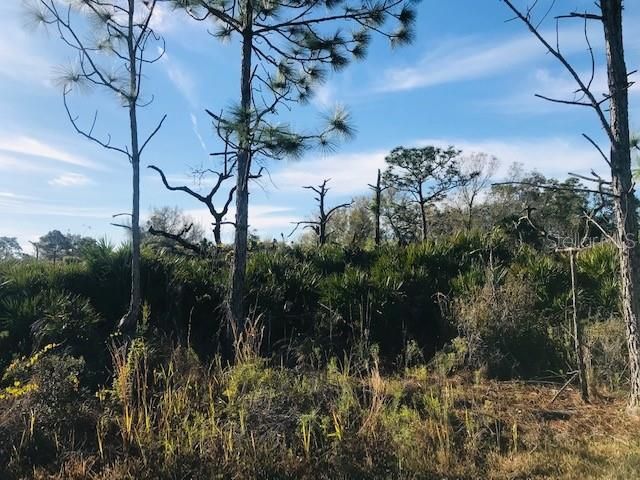 Recently Sold: $3,900 (0.23 acres)