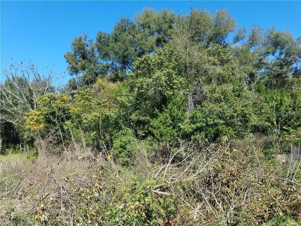 En Venta: $22,500 (0.14 acres)