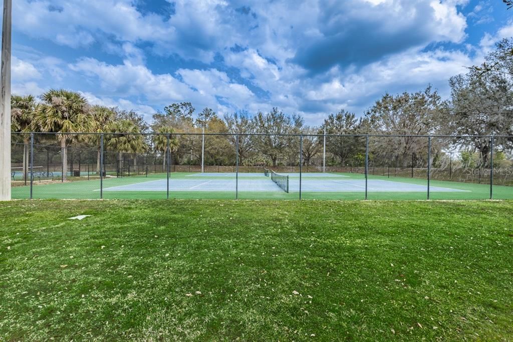 Fish Hawk Trails tennis courts