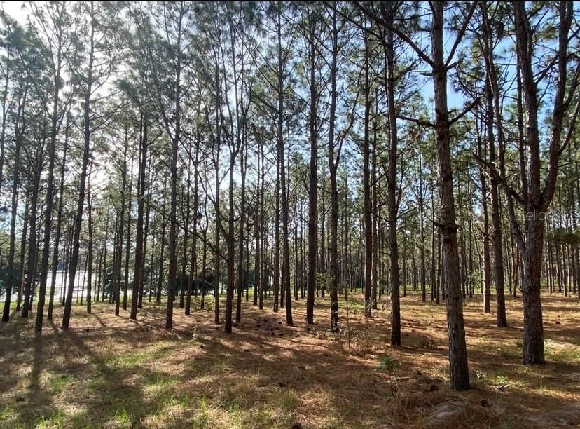 Vendido Recientemente: $77,000 (4.84 acres)