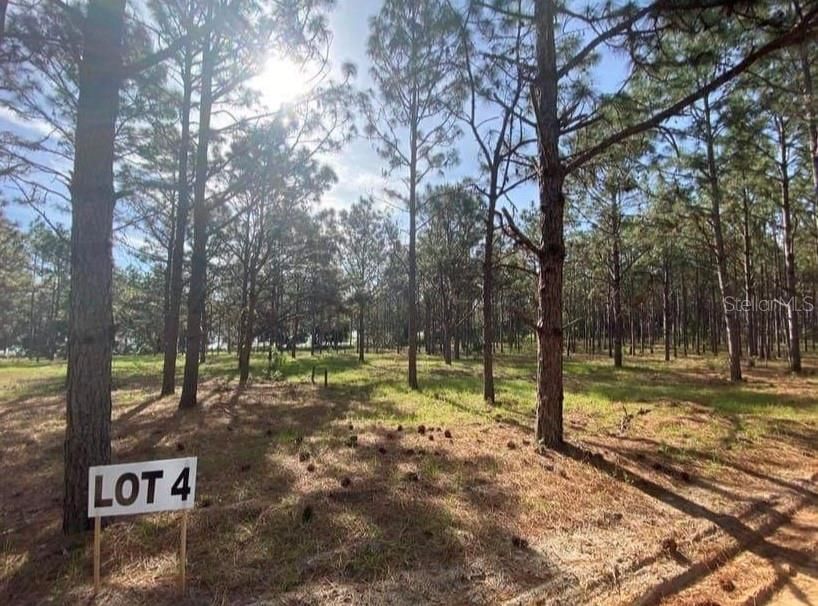 Vendido Recientemente: $77,000 (4.84 acres)