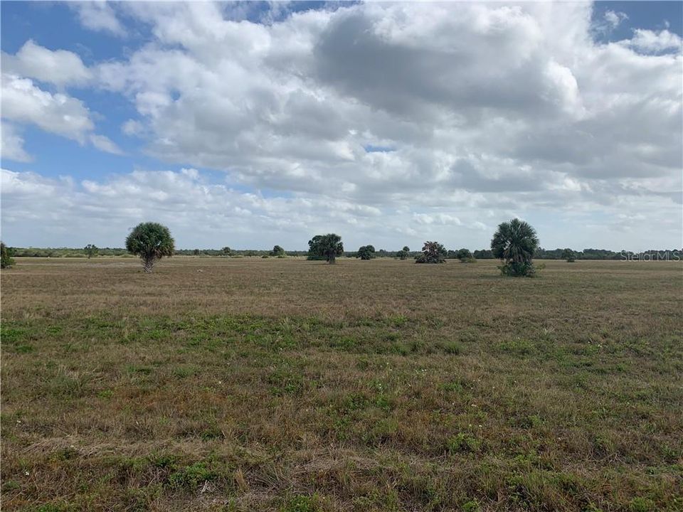 Recently Sold: $3,500 (0.21 acres)