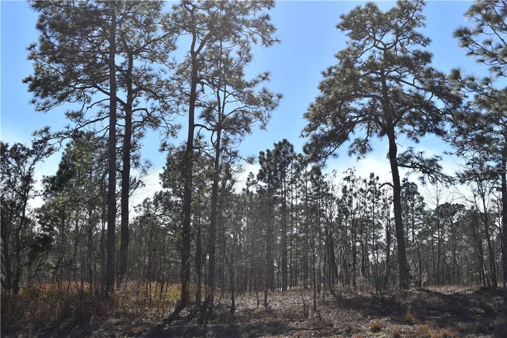 Recently Sold: $42,000 (5.00 acres)