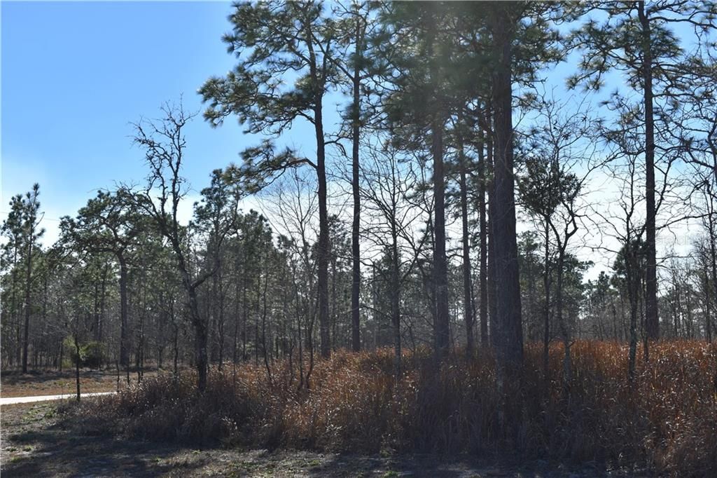 Recently Sold: $42,000 (5.00 acres)