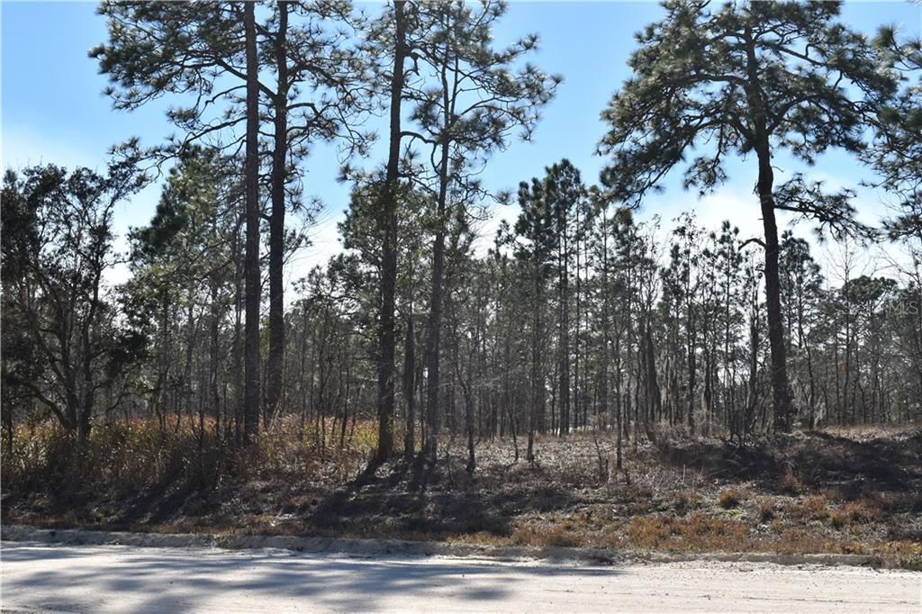 Recently Sold: $42,000 (5.00 acres)