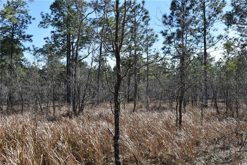 Recently Sold: $42,000 (5.00 acres)