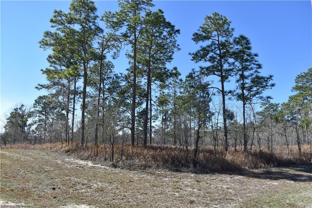 Recently Sold: $42,000 (5.00 acres)