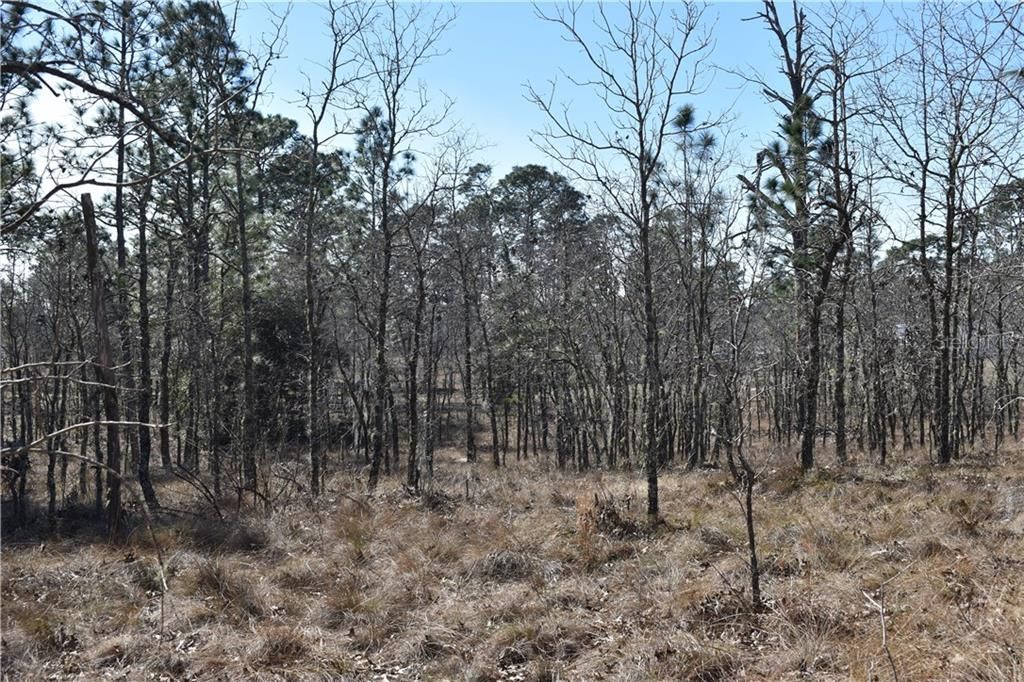 Recently Sold: $42,000 (5.00 acres)