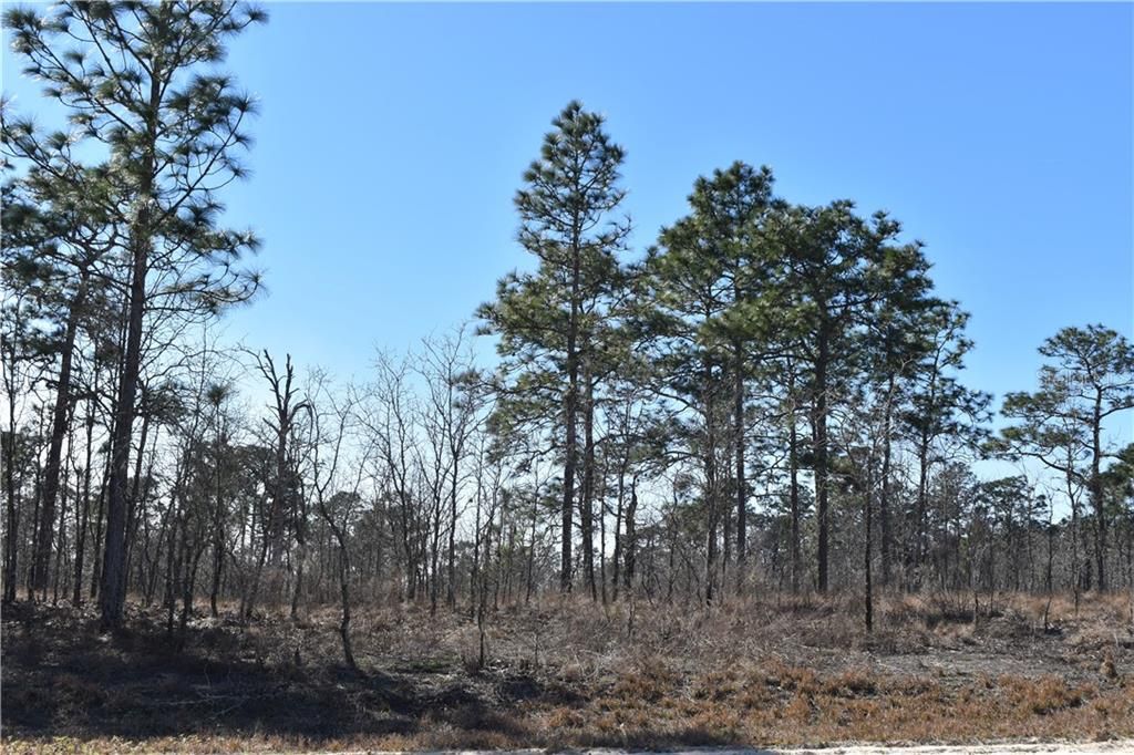 Recently Sold: $42,000 (5.00 acres)