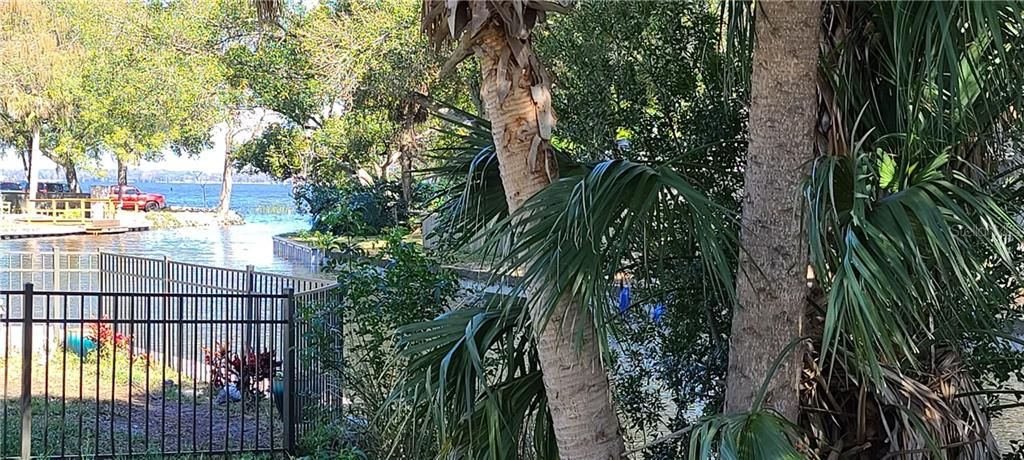 From rear of the lot looking towards the open waters of Lake Tarpon.
