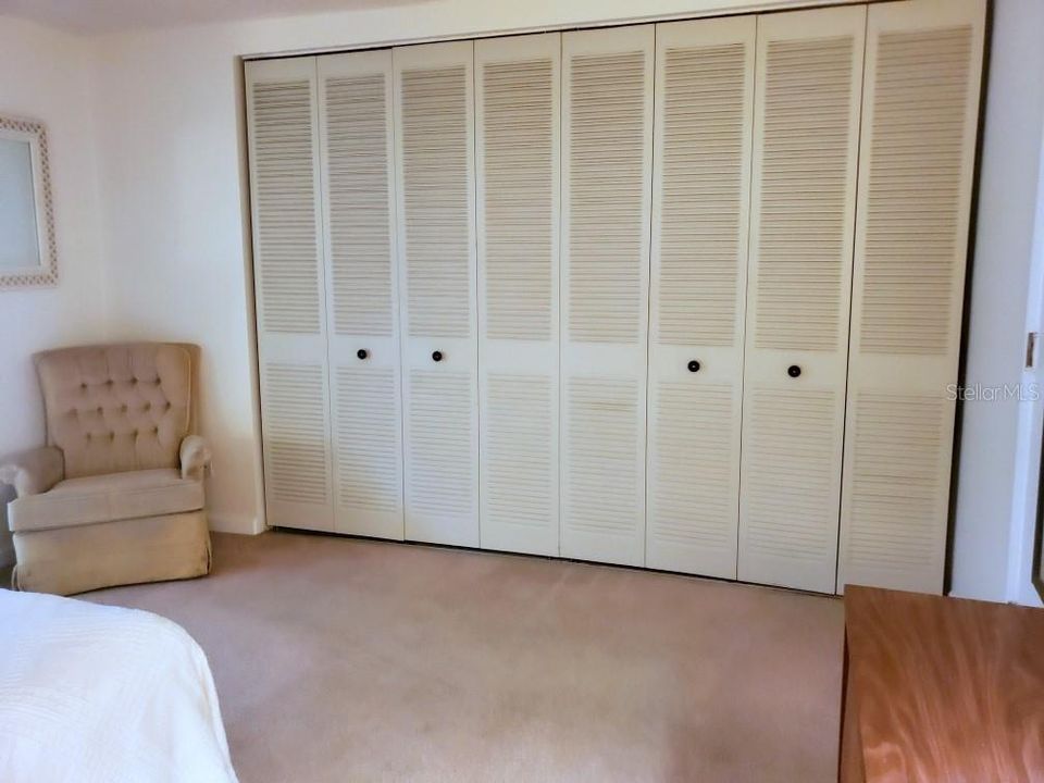 Full wall of closet storage in bedroom