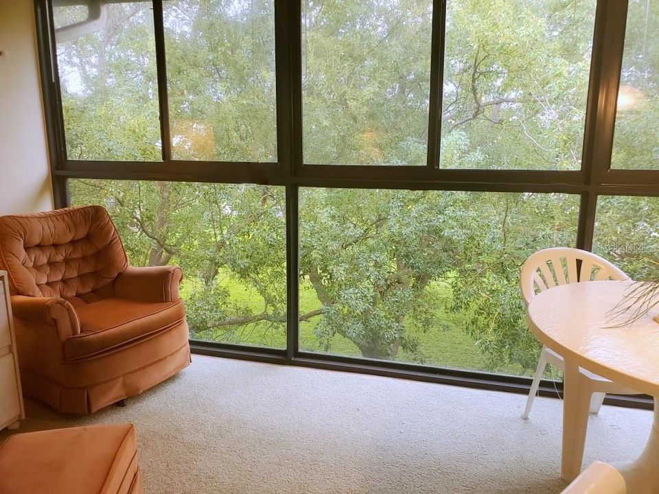 Enjoy the privacy and "tree house" view from the lanai and bedroom.