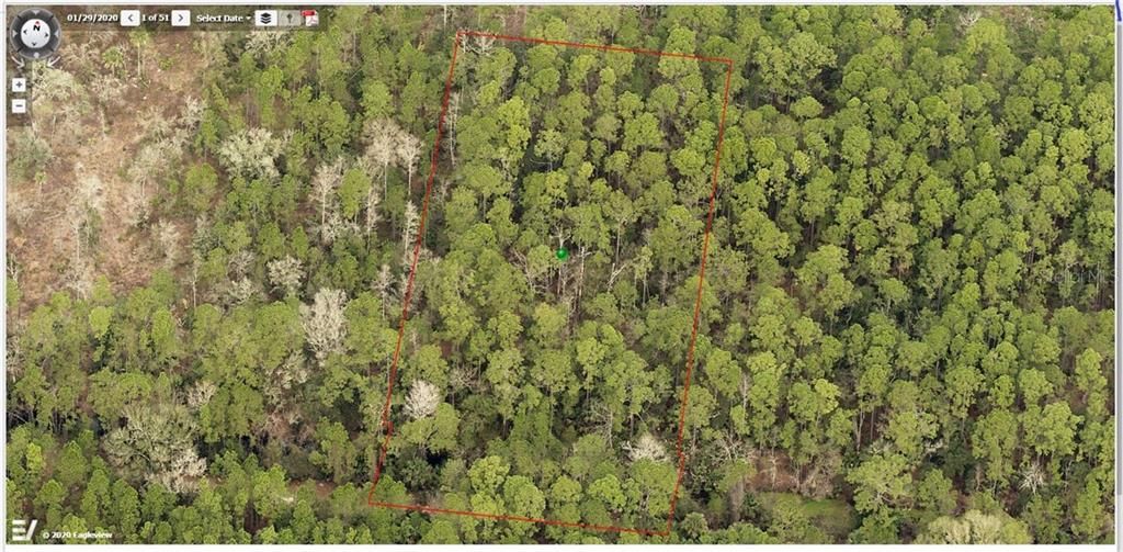 Large Aerial of Property from Volusia County Property Appraiser