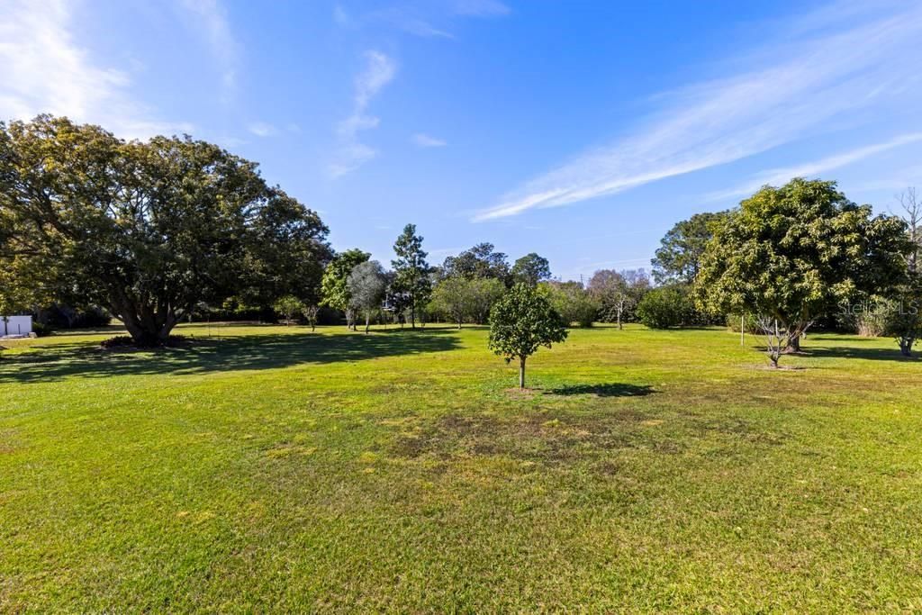 Plenty of fruit trees on the property