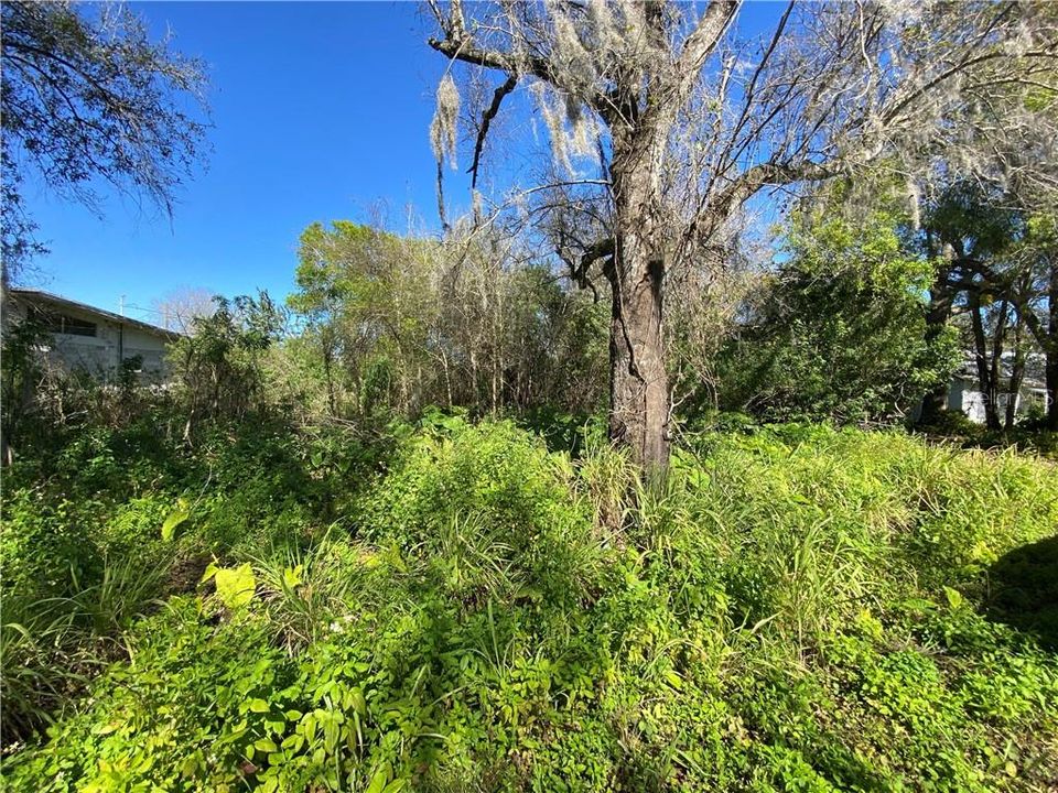 Recently Sold: $12,000 (0.49 acres)