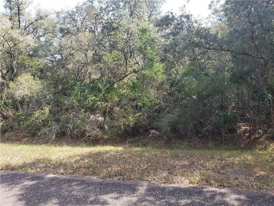 Vendido Recientemente: $44,500 (1.05 acres)