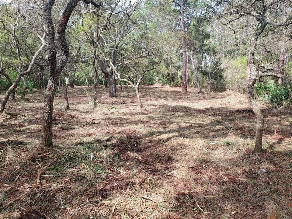 Recently Sold: $39,900 (1.00 acres)