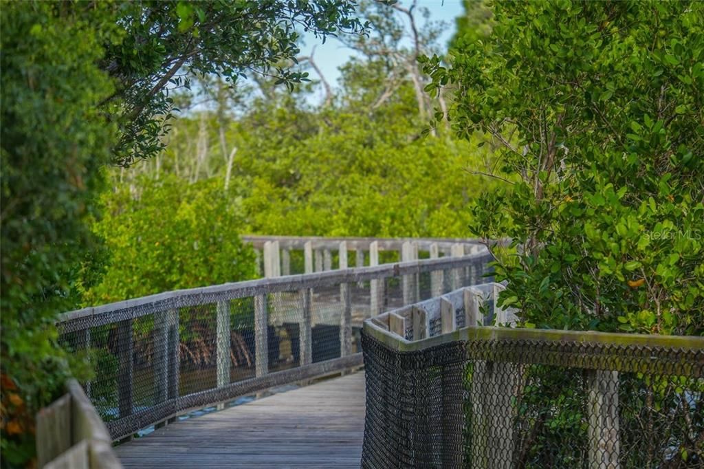 Boardwalk through the mangroves at nearby Emerson Point.