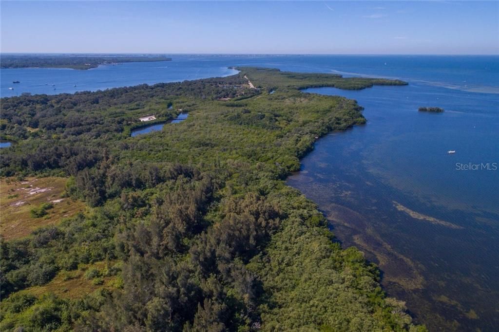 Aerial of Emerson Point Preserve.