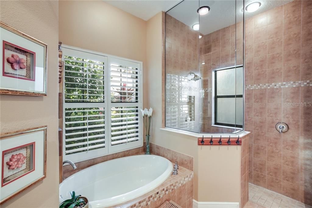 Master bath tub & shower.