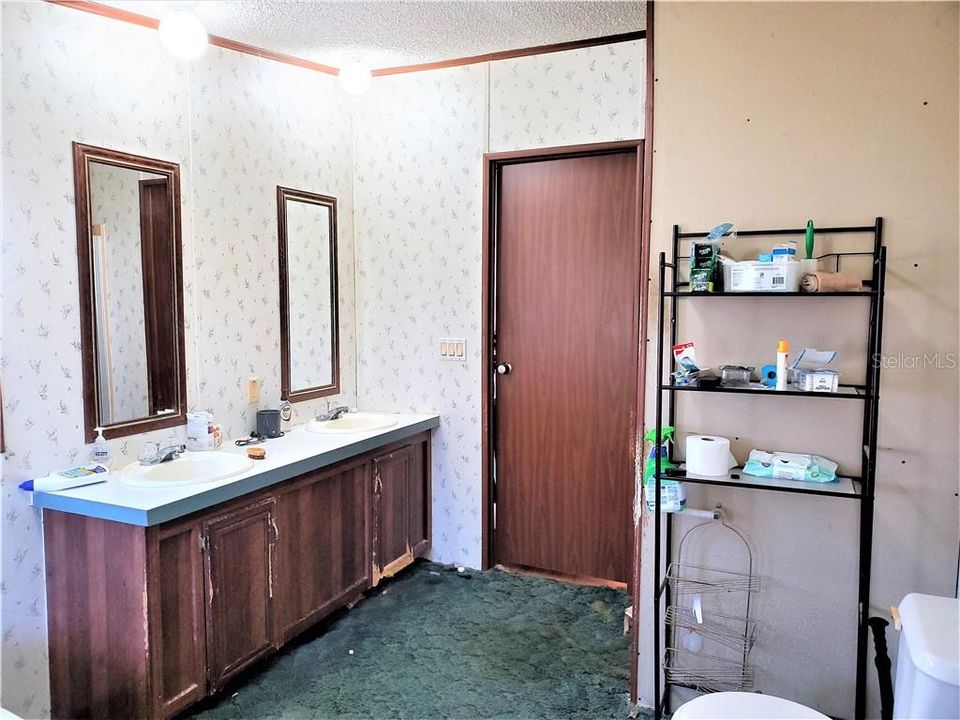 Master Bath - Dove Cross Drive, Lakeland FL - House for Sale - Country View Estates - Zip Code 33810