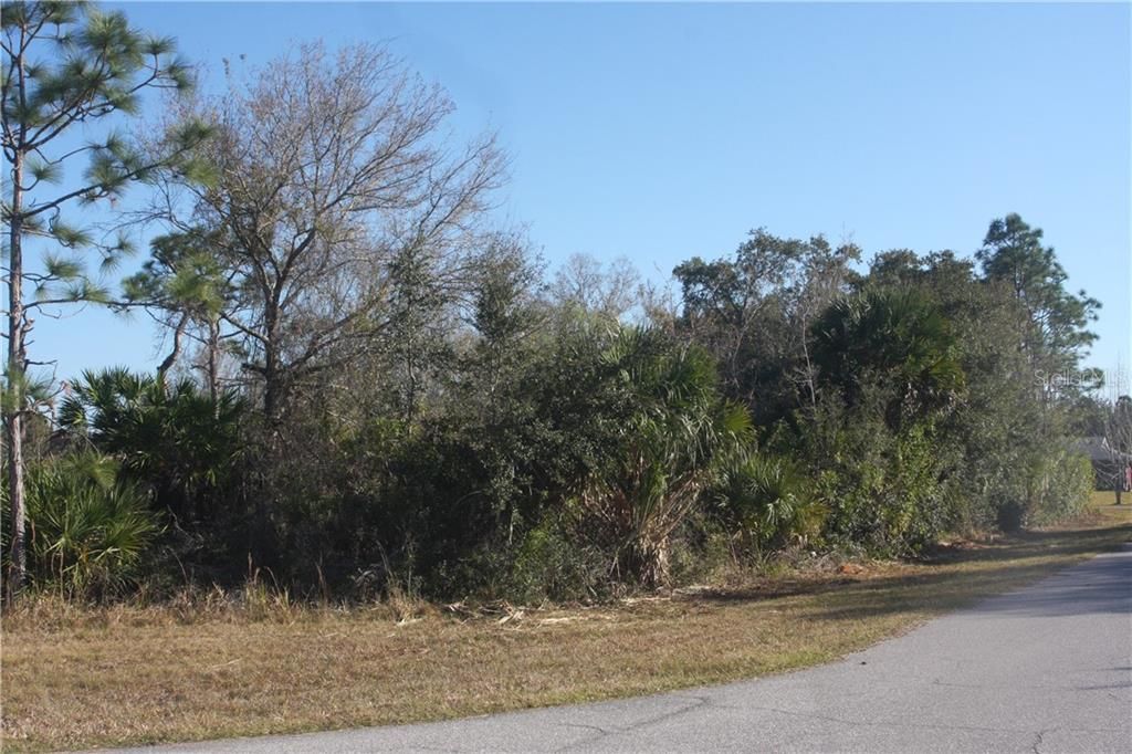 Recently Sold: $24,000 (0.25 acres)