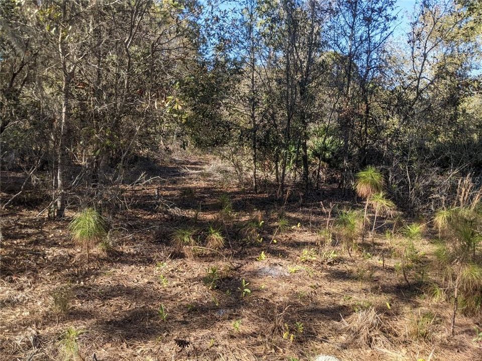 Recently Sold: $129,900 (8.11 acres)