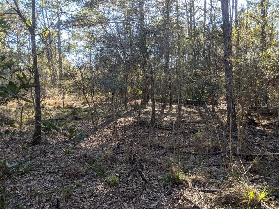 Recently Sold: $129,900 (8.11 acres)