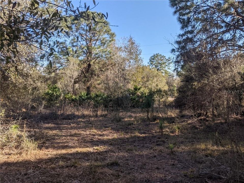 Recently Sold: $129,900 (8.11 acres)