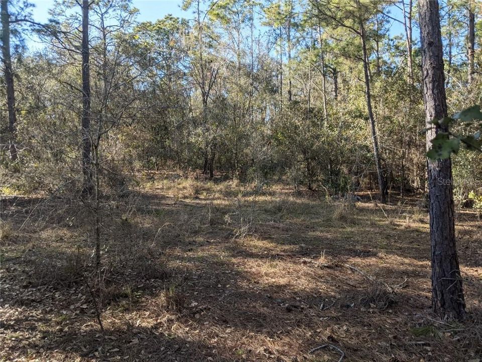 Recently Sold: $129,900 (8.11 acres)