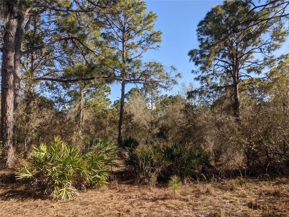 Recently Sold: $129,900 (8.11 acres)