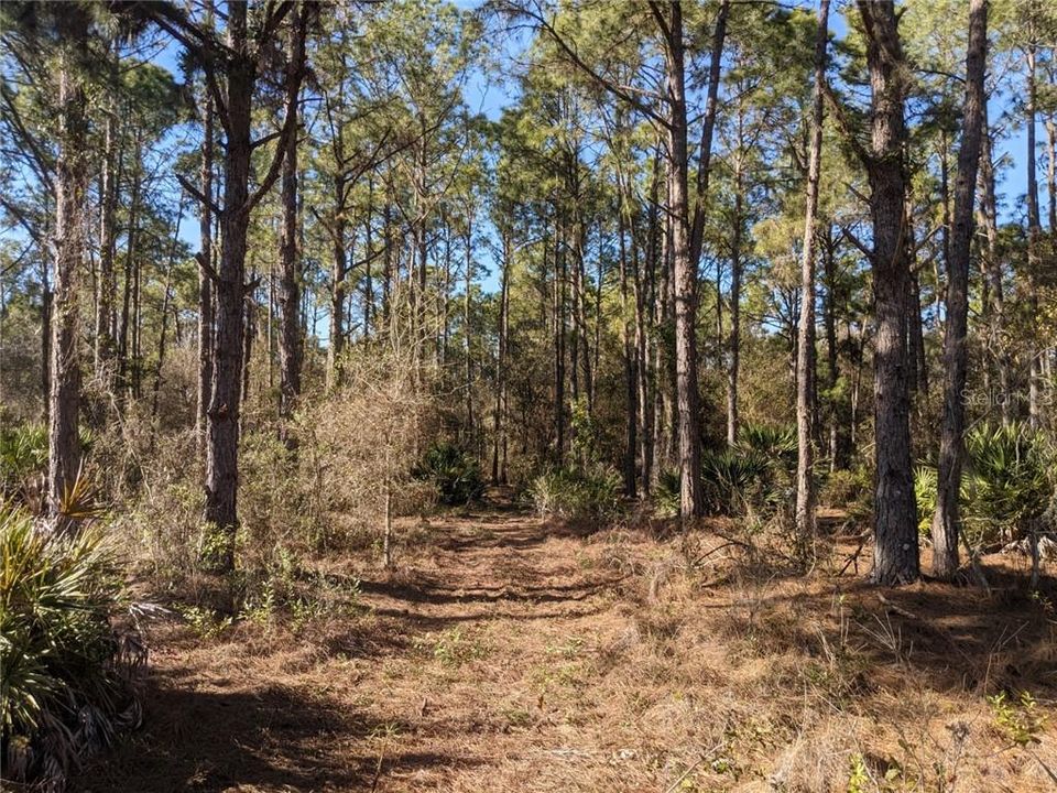 Recently Sold: $129,900 (8.11 acres)