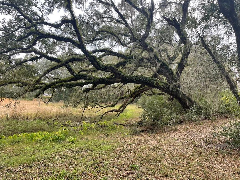 Vendido Recientemente: $200,000 (12.78 acres)