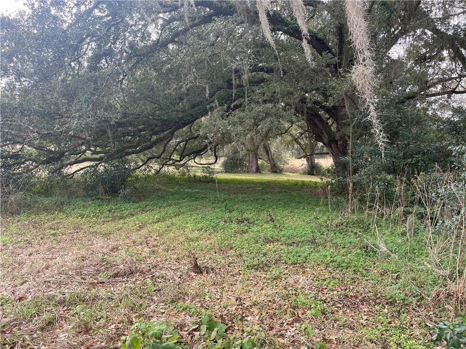 Recently Sold: $200,000 (12.78 acres)