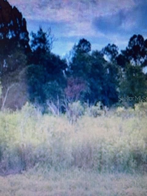 Recently Sold: $38,000 (0.17 acres)