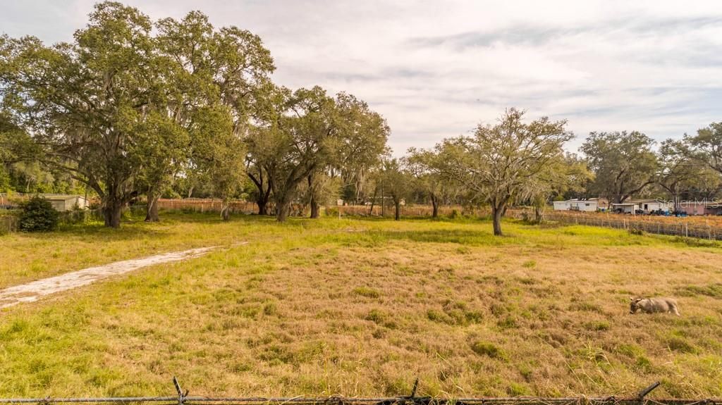 Recently Sold: $79,000 (1.00 acres)
