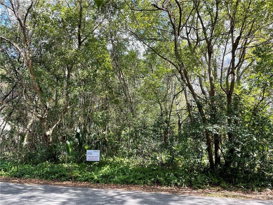 Vendido Recientemente: $145,000 (0.45 acres)