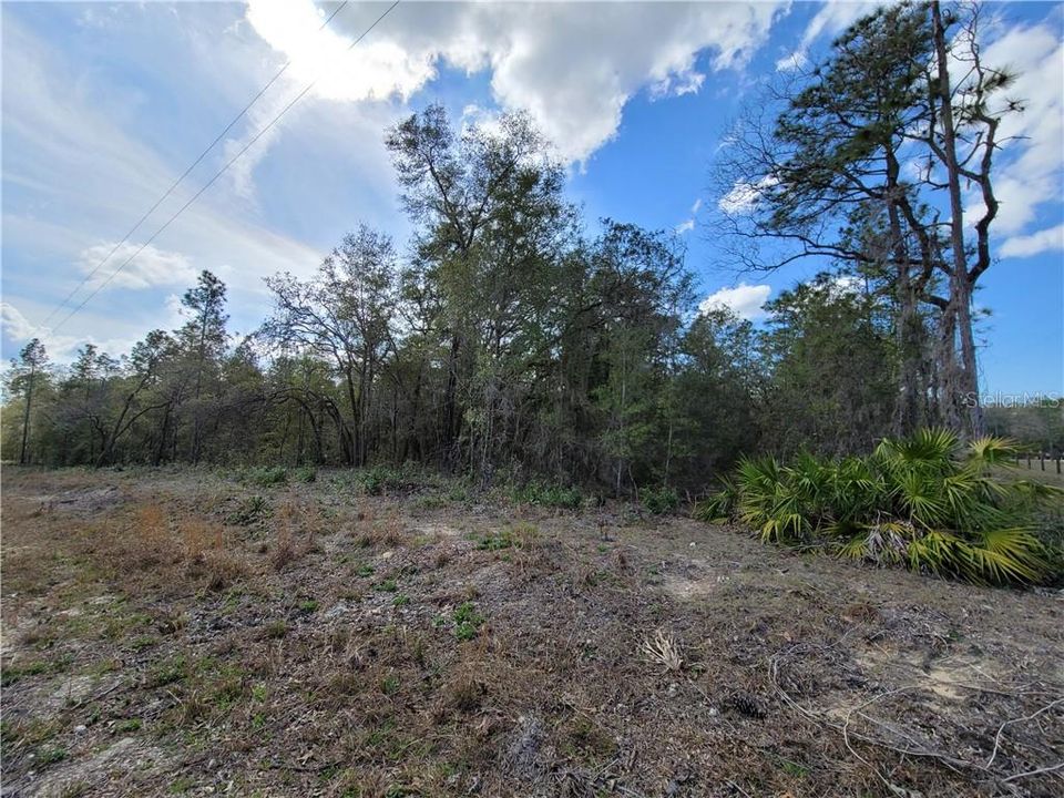 Recently Sold: $39,900 (4.89 acres)