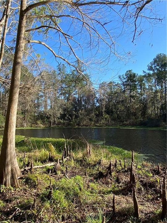 Недавно продано: $145,000 (1.04 acres)