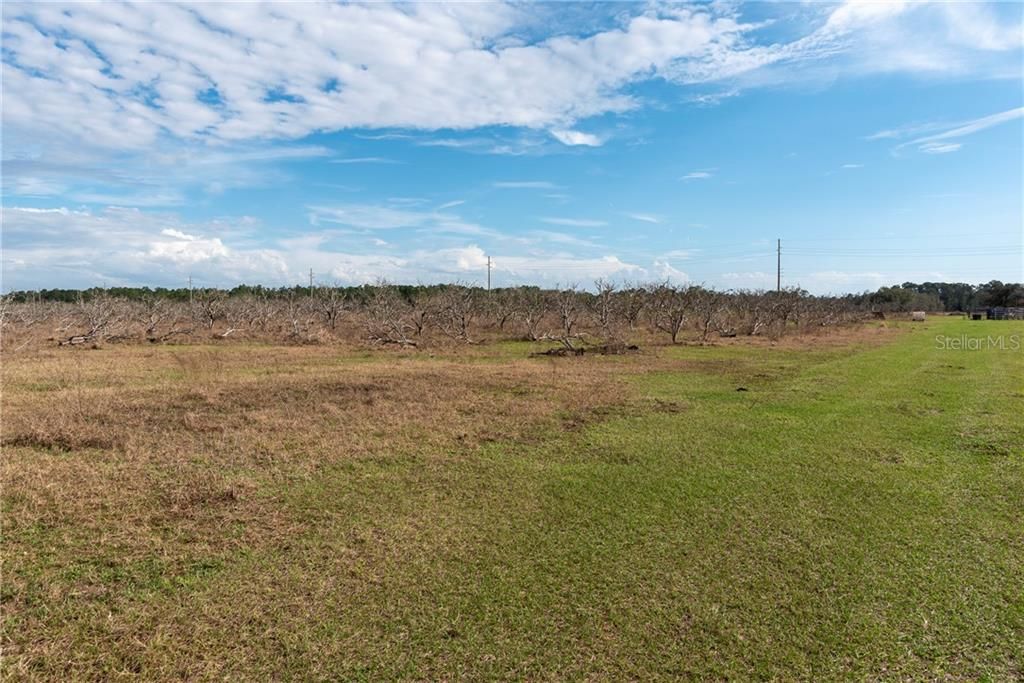 Recently Sold: $2,500,000 (20.56 acres)