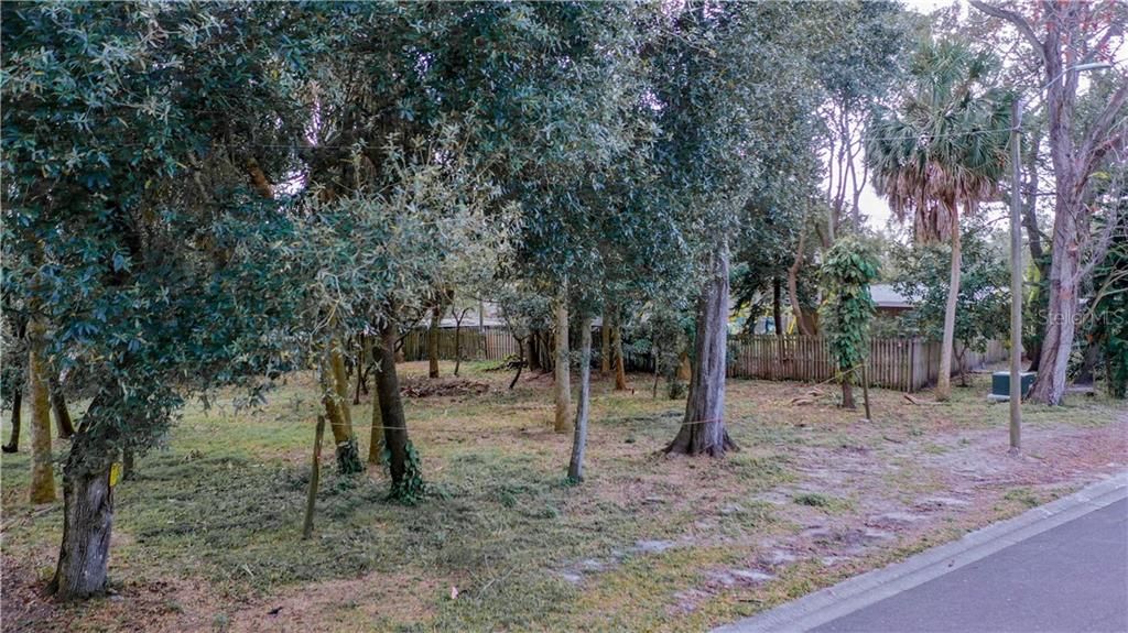 Rare vacant land in Safety Harbor is available now!