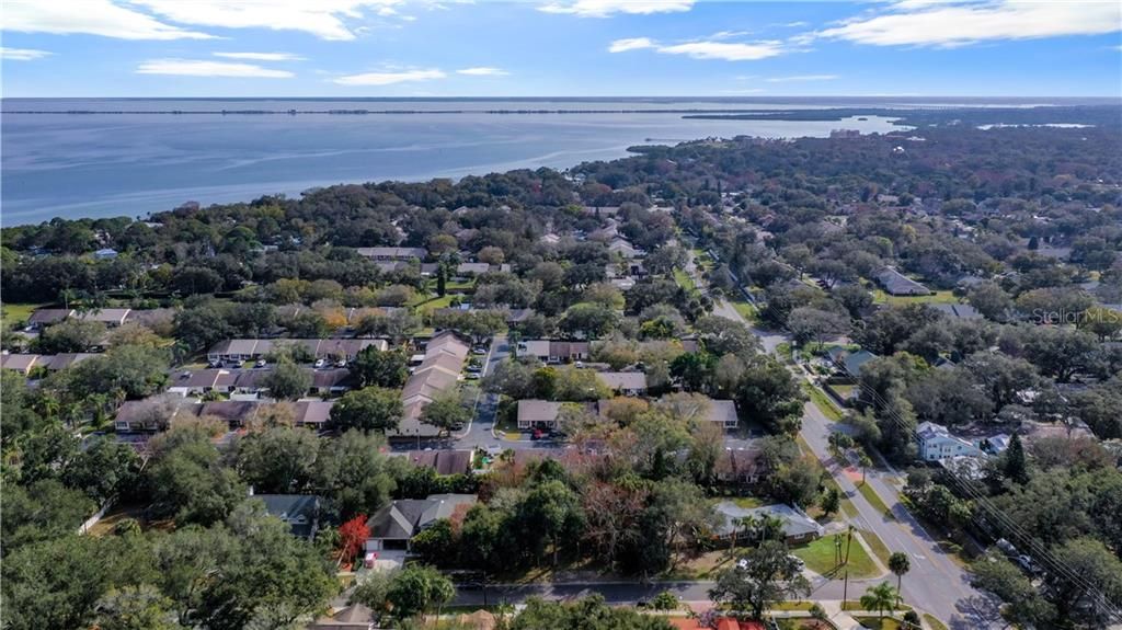 Facing South, looking towards Safety Harbor Spa & Marina. Property is in bottom center of photo. Philippe Parkway is the road on the right.