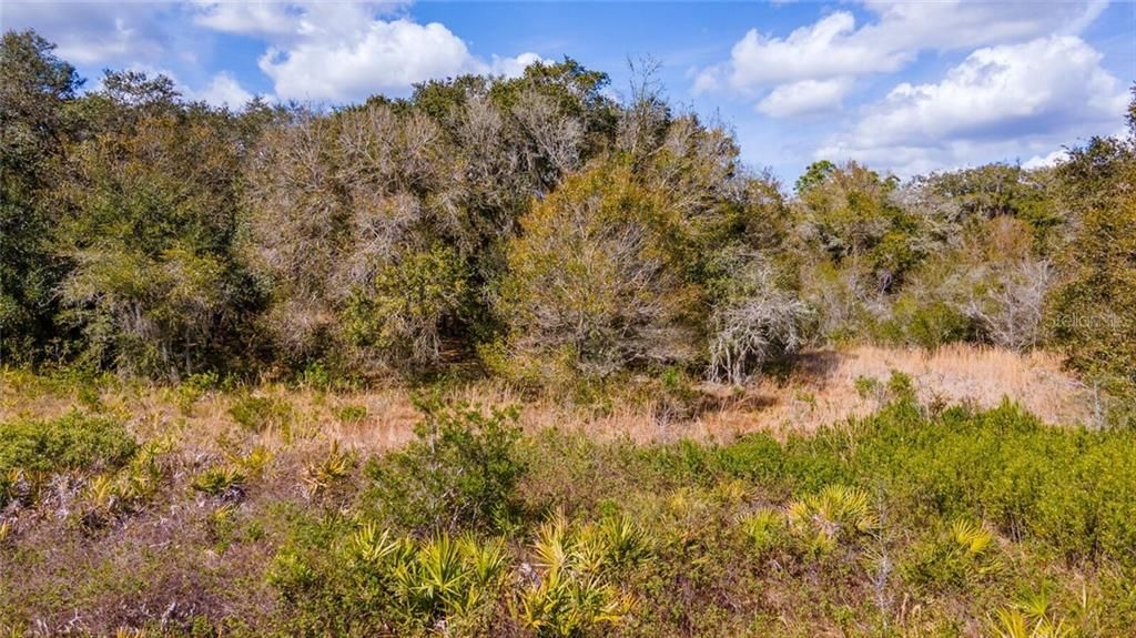 Recently Sold: $239,900 (9.72 acres)