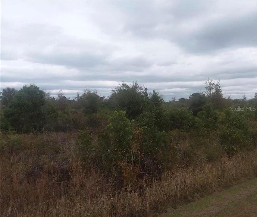 Recently Sold: $89,900 (10.00 acres)