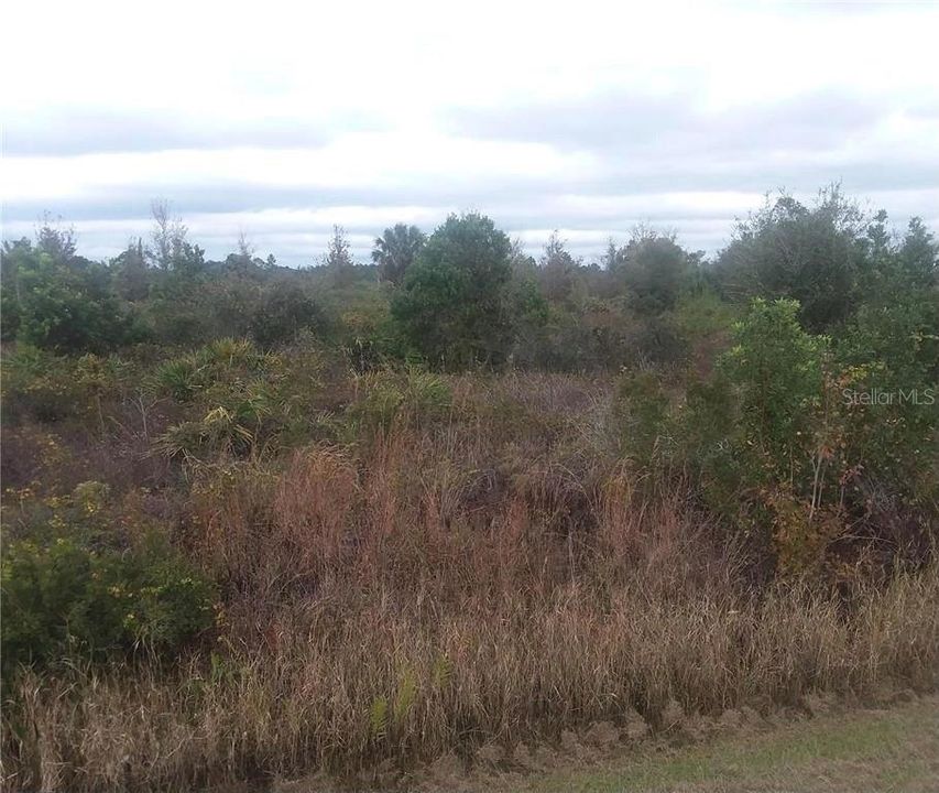 Vendido Recientemente: $89,900 (10.00 acres)