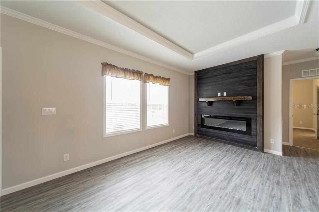Electric Fireplace, Vinyl Wood Plank Floors, Tray Ceiling and More